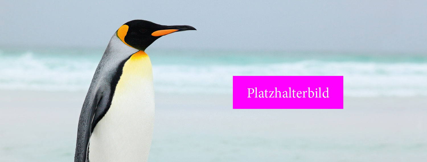 Header-1500x570